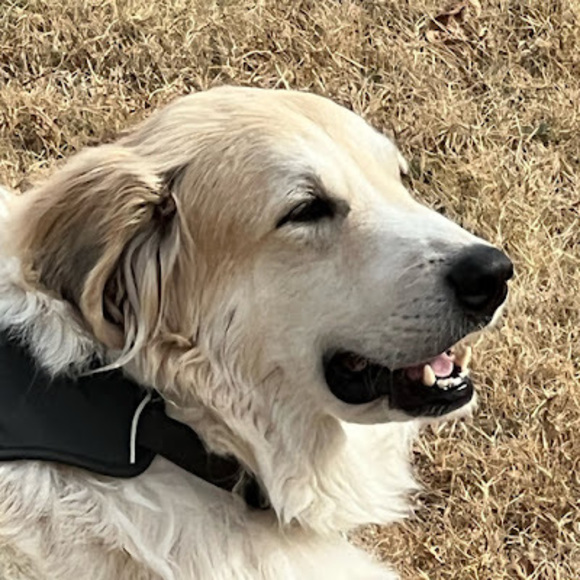 Meet your Posher, Valerie - Picture 1 of 1